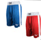 Everlast Amateur Competition Trunks - Full Contact Sports